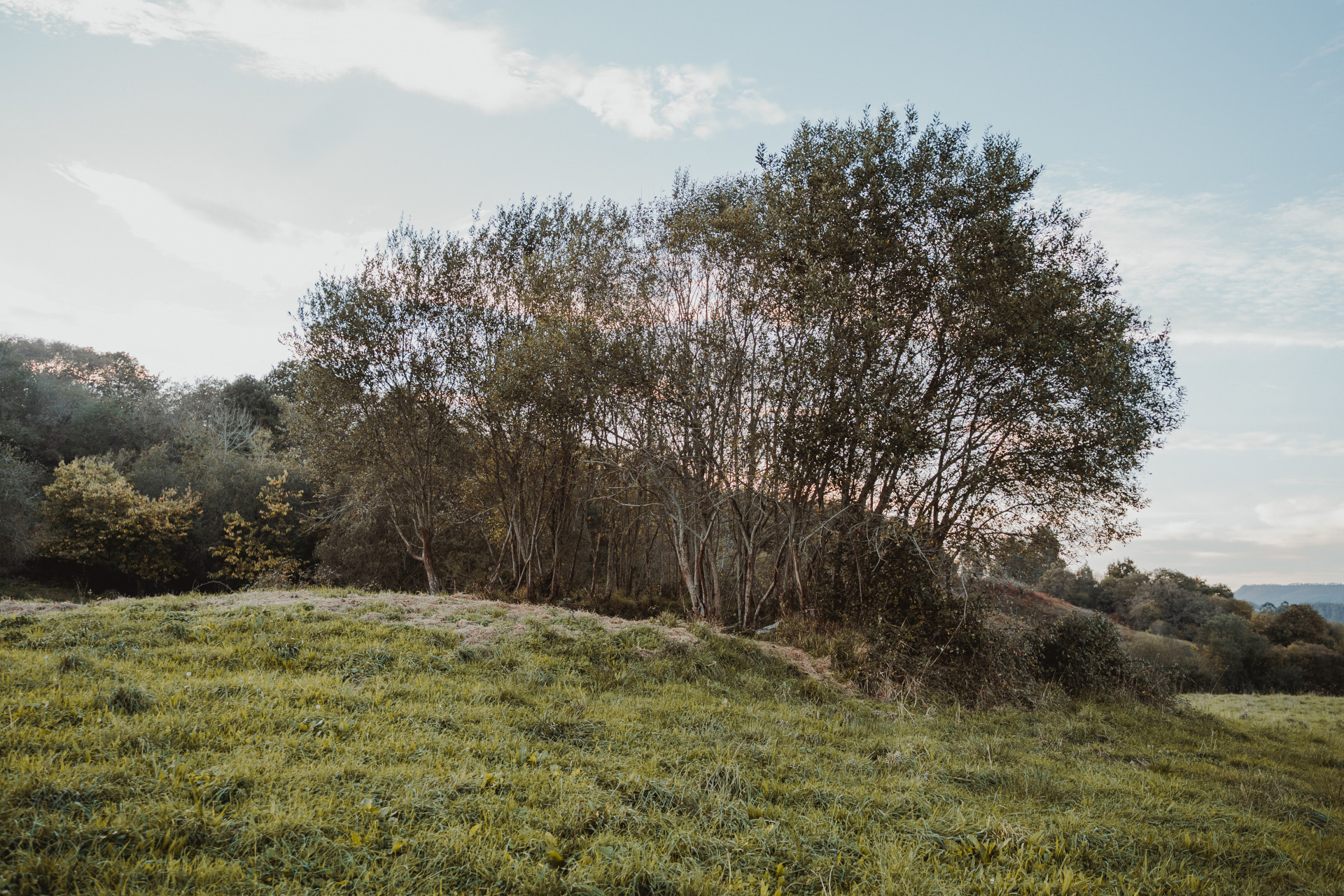 Dolmen del Cotero de la Mina (2)