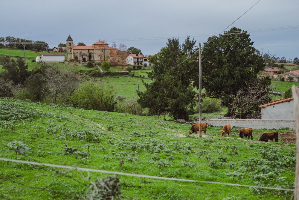 Iglesia de la Virgen de las Nieves (4)
