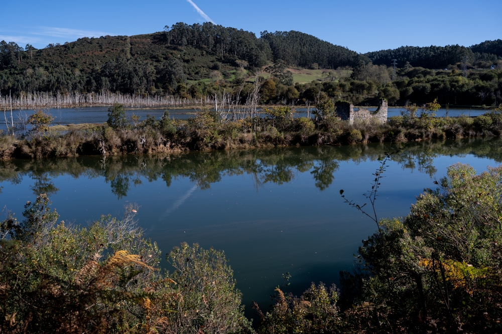Marisma de Rubín (4)