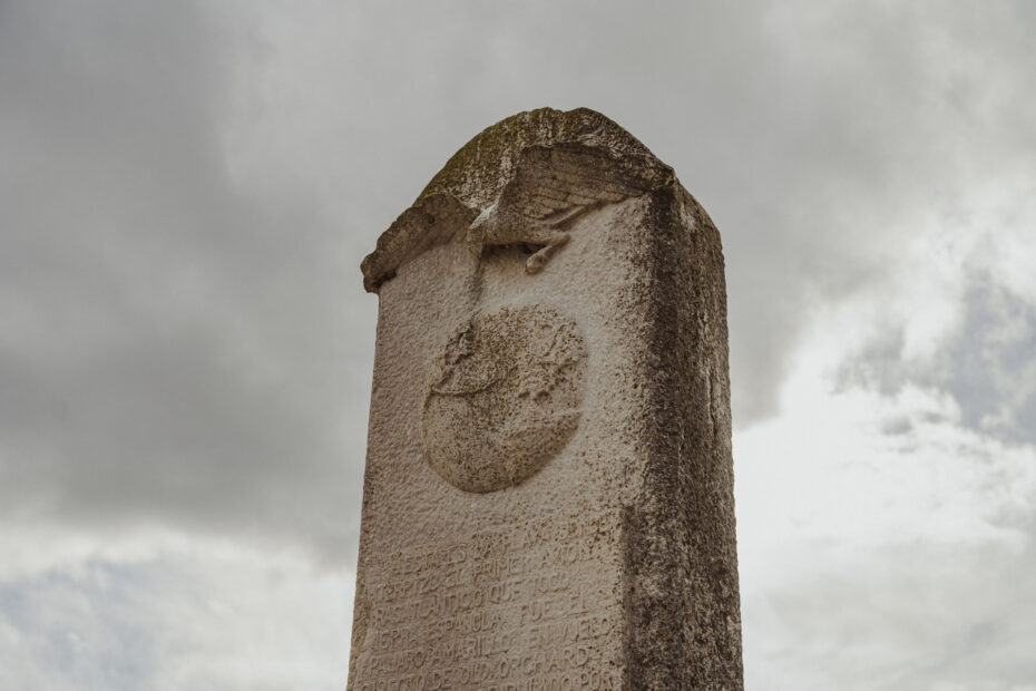 Pájaro Amarillo de Los Llaos (1)
