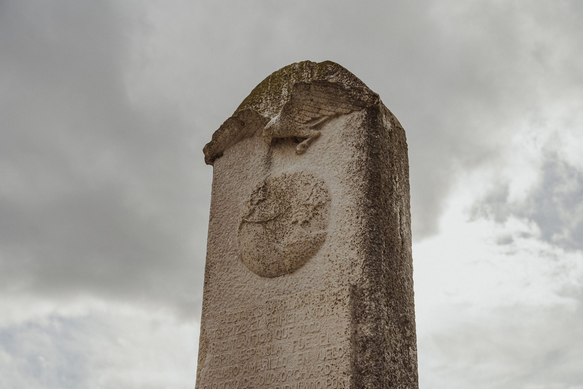 Pájaro Amarillo de Los Llaos (1)