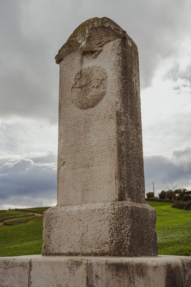 Pájaro Amarillo de Los Llaos (2)