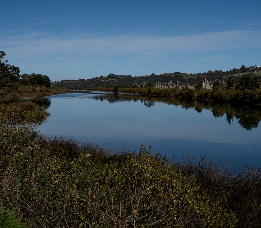 parque de oyambre (1)