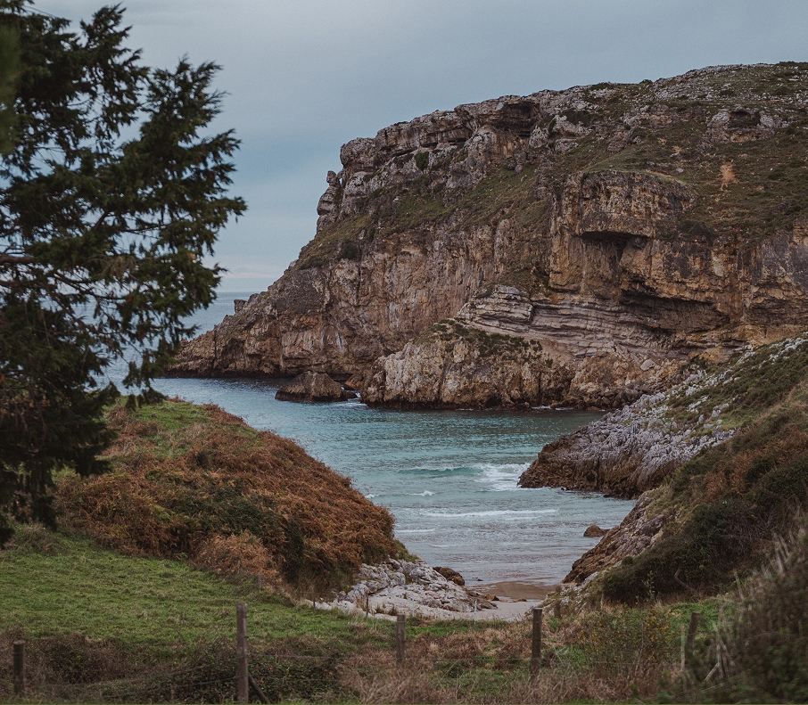 parque de oyambre (3)