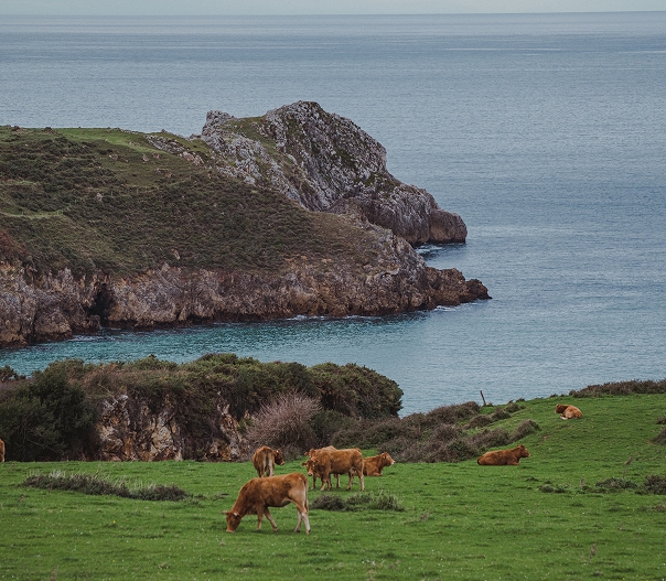 san-vicente-barquera-1