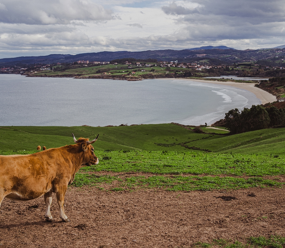 san-vicente-barquera-entornos-naturales-1