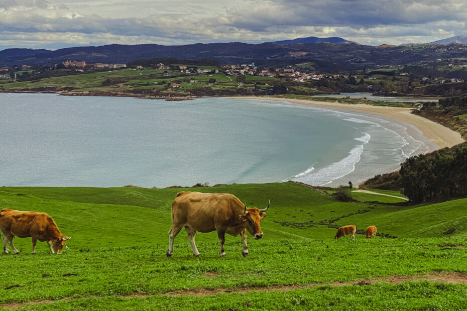 san-vicente-barquera-parque-oyambre-intro