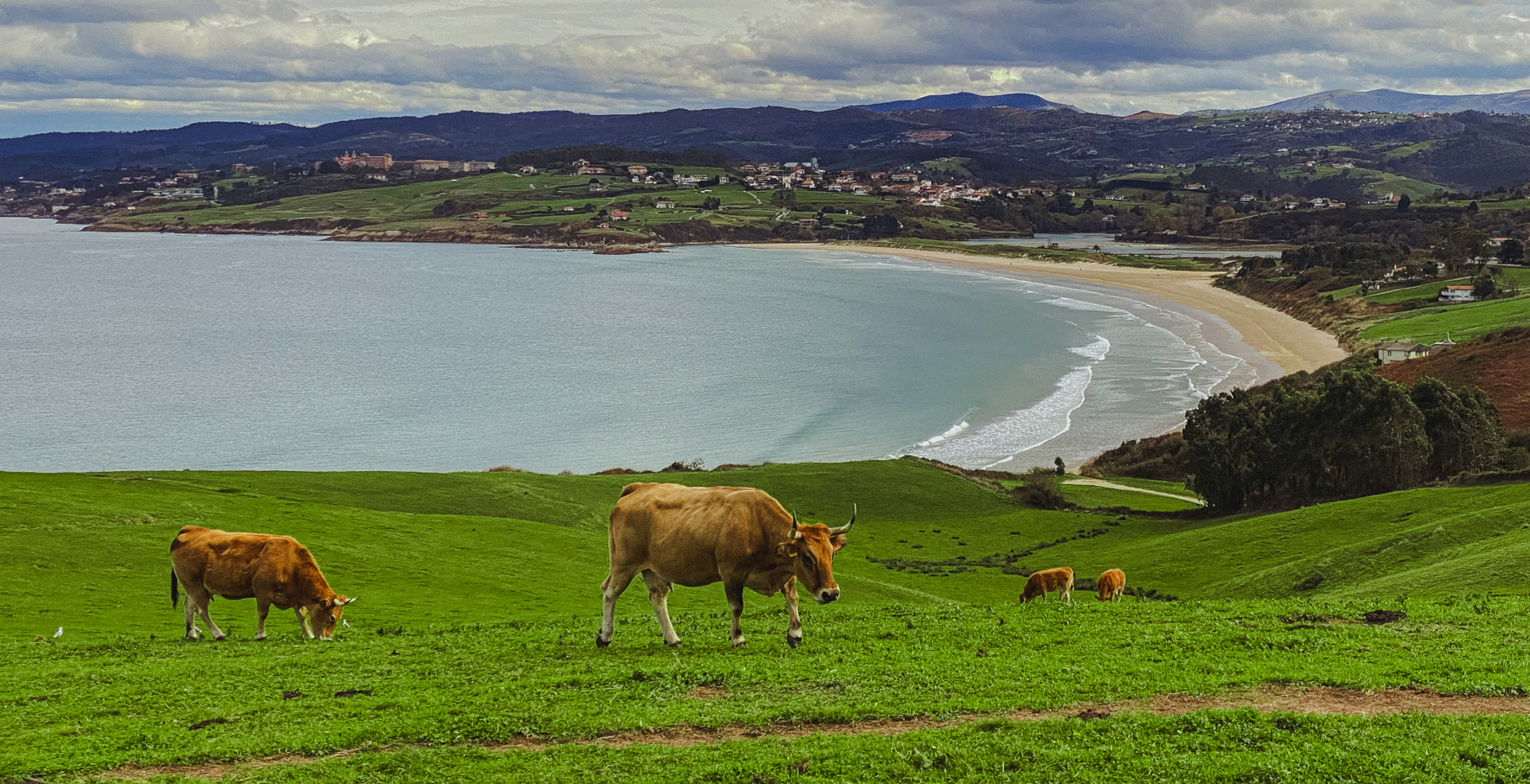 san-vicente-barquera-parque-oyambre-intro