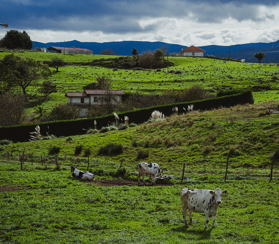 san vicente en dos dias 3 (4)